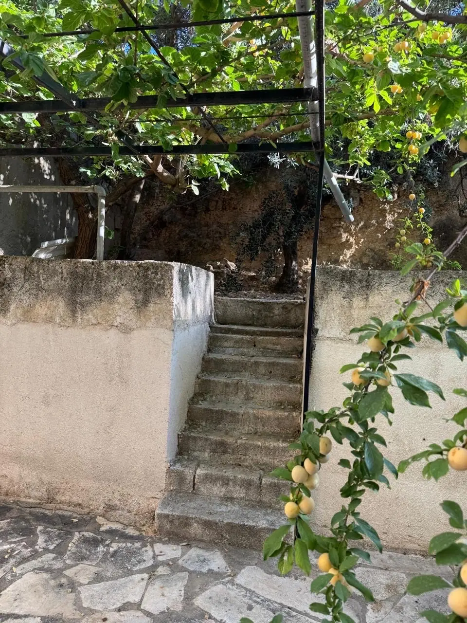 شقه ارضيه حاره ٥ ابو نصير