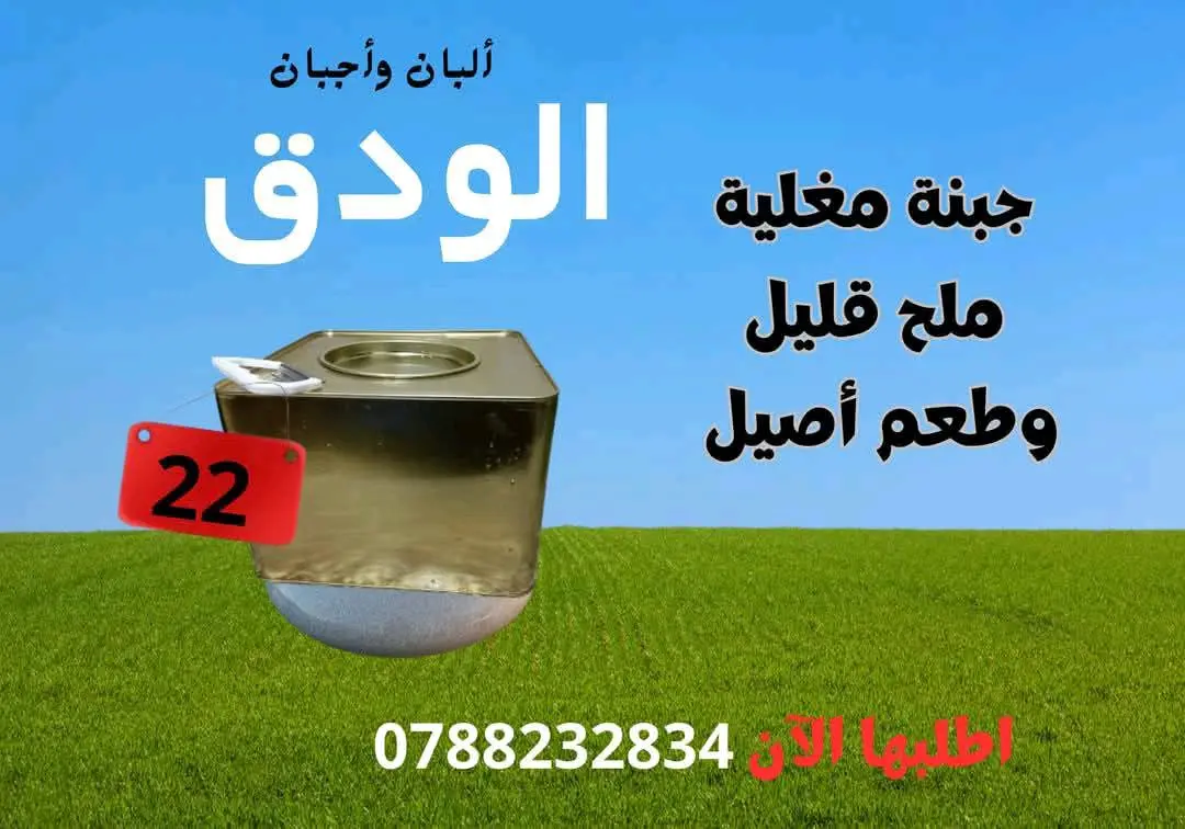 جبنة بيضاء نابلسية مغلية