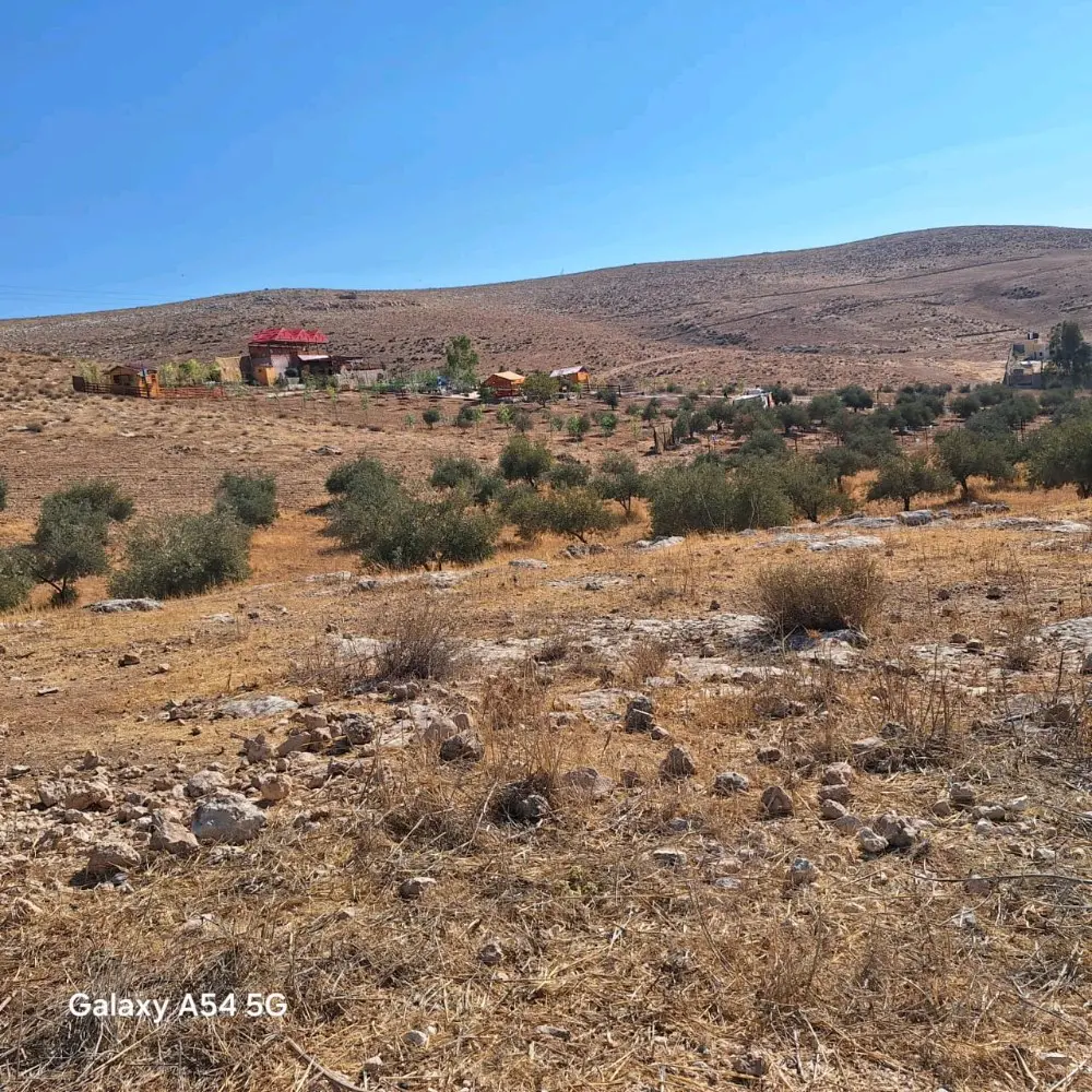 مزرعة بلعما للبيع