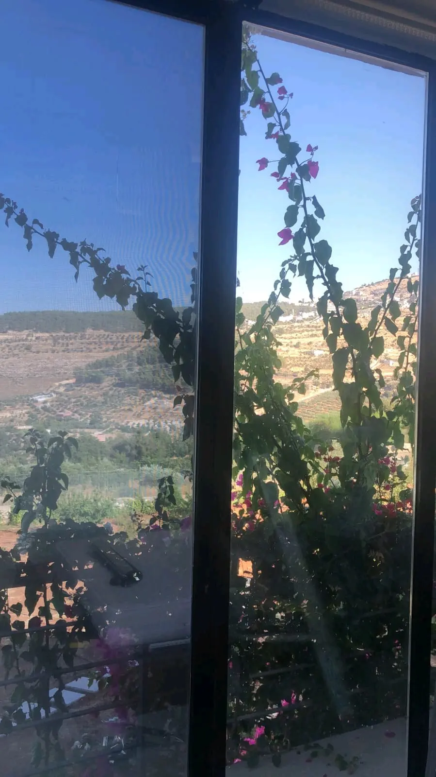 للزجاج.( حماية و ديكور و عاكس تضليل )