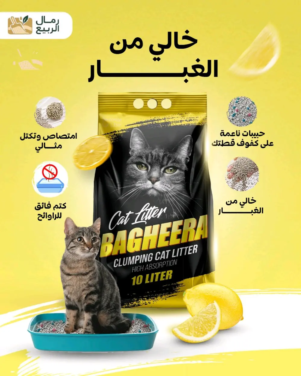 رمل قطط باغيرا للتجار و الموزعين