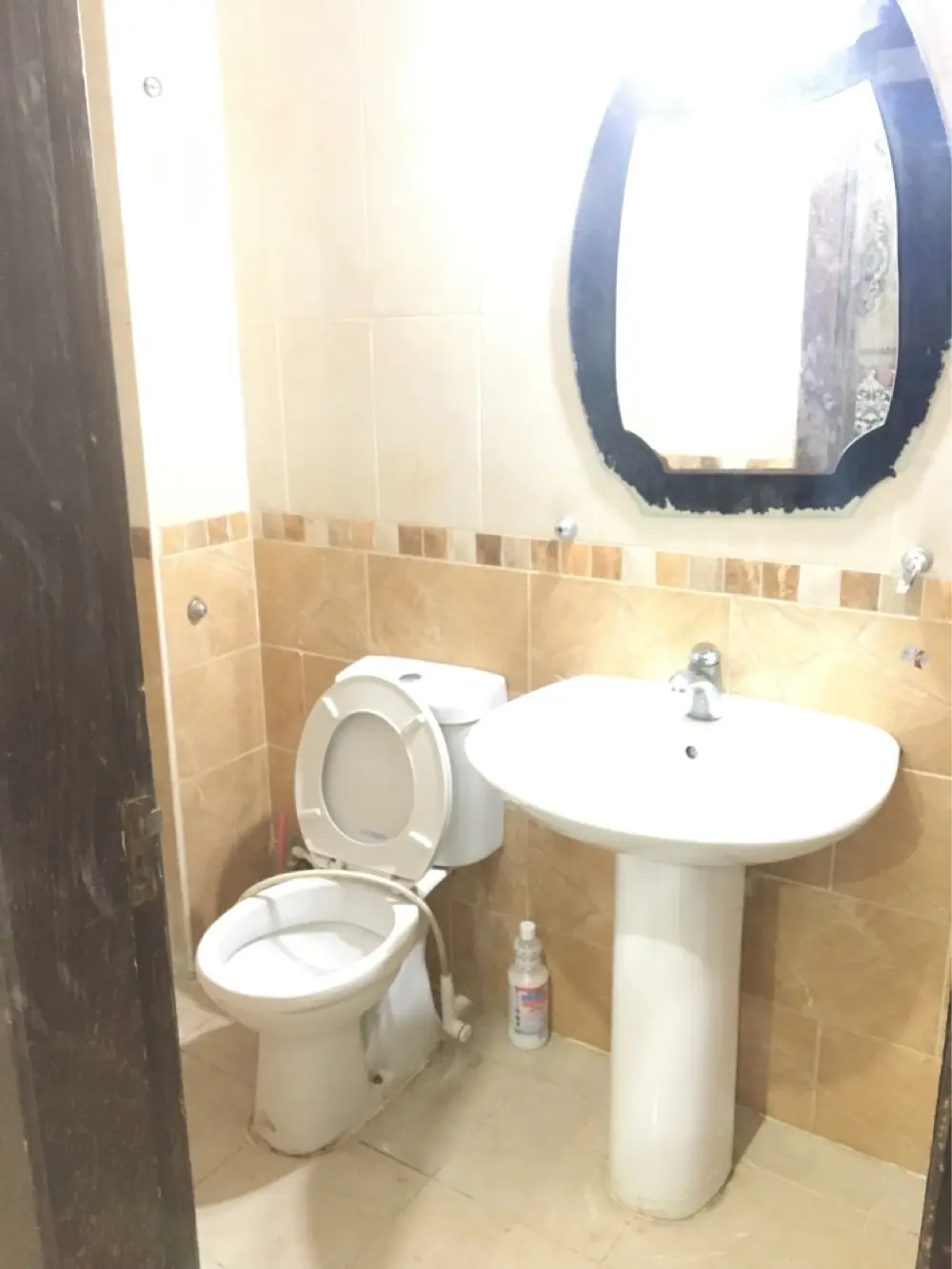 شقق مفروشة العقبة يومي واسبوعي