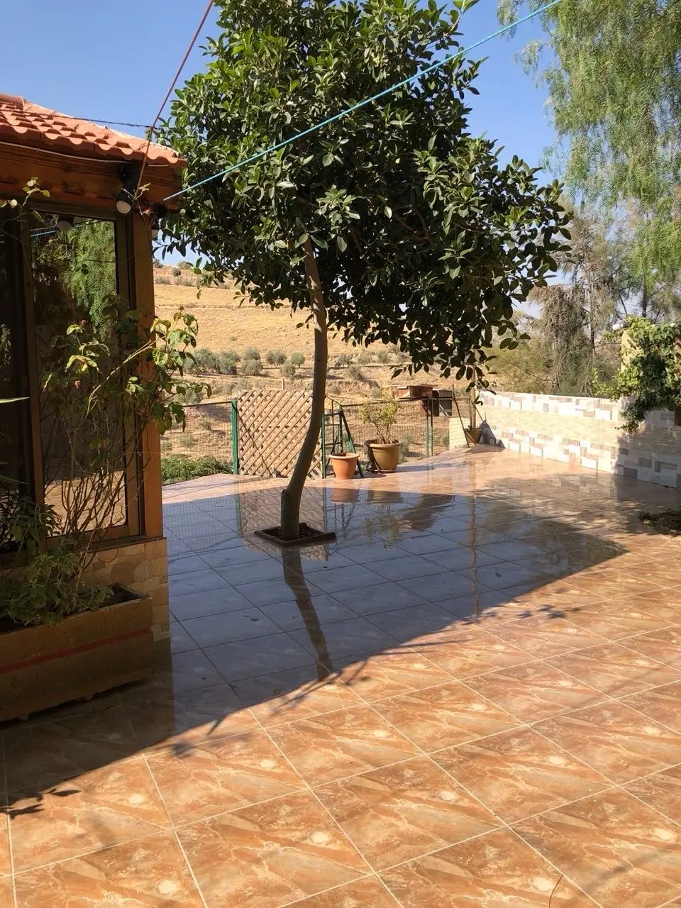 مزرعه مع فيلا ومسبح في العالوك للبيع