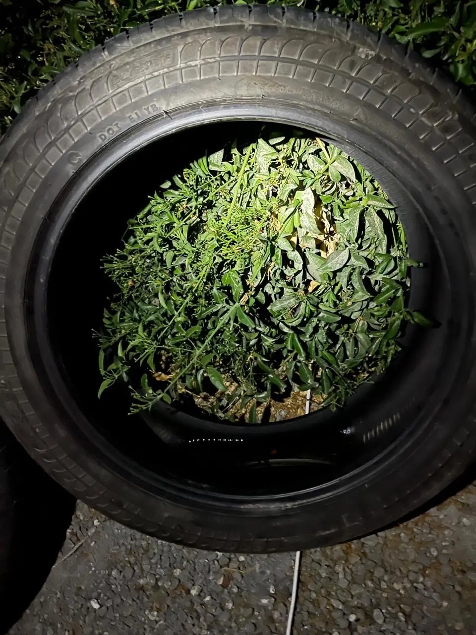 ٤ فردات كوشوك نوع بريجستون مقاس 235/50  R20