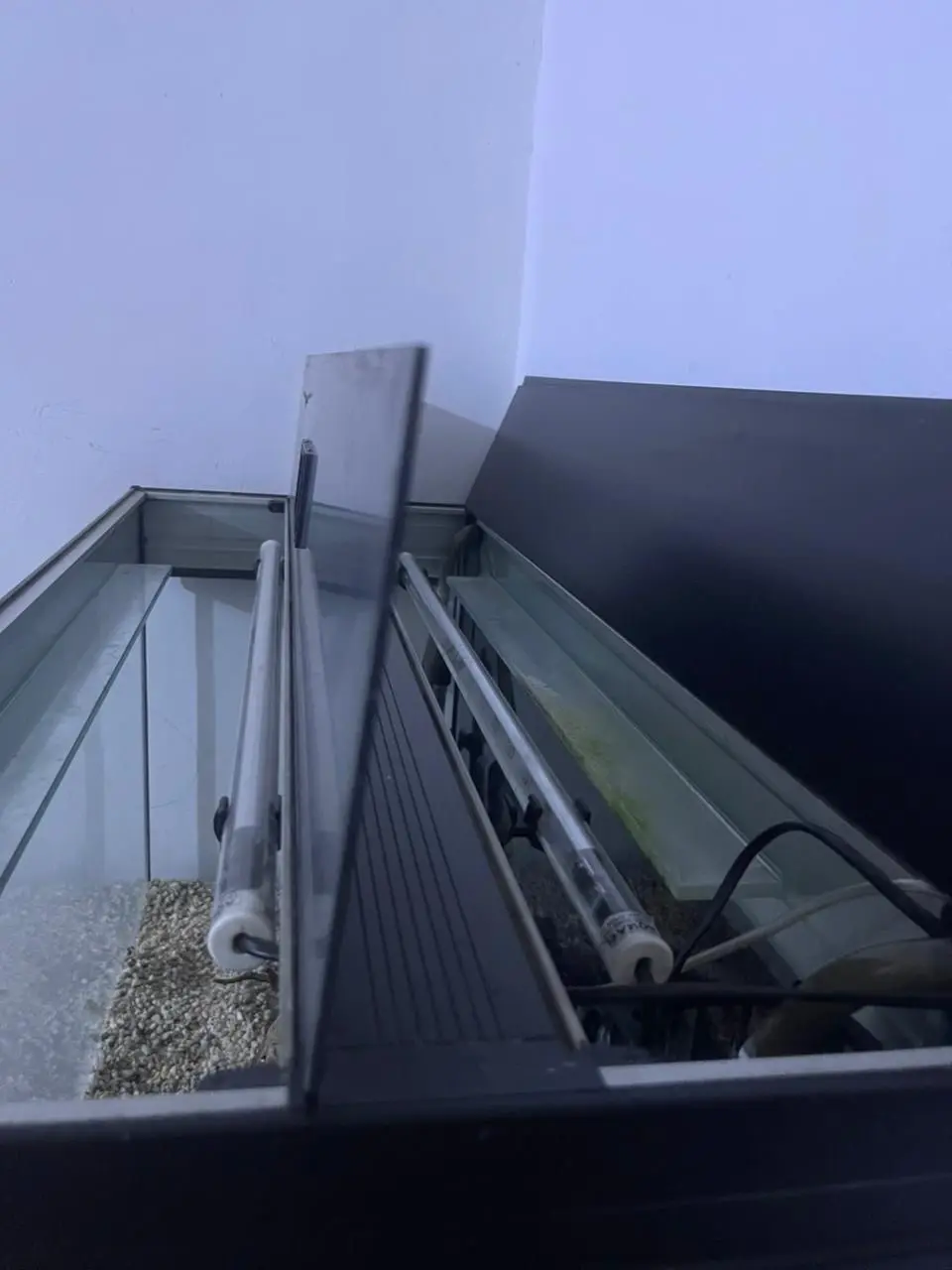 حوض سمك اجنبي بولندي اكوائيل