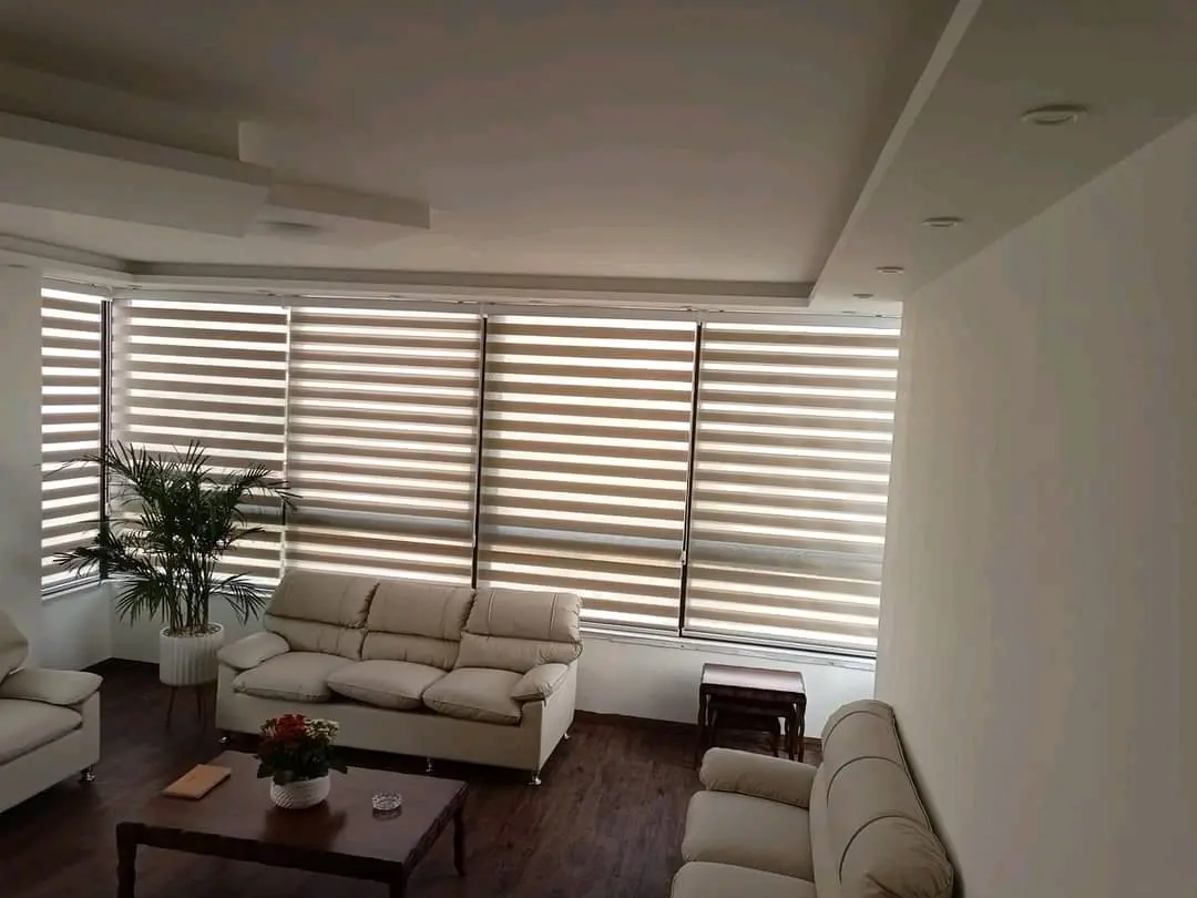 gallery 7