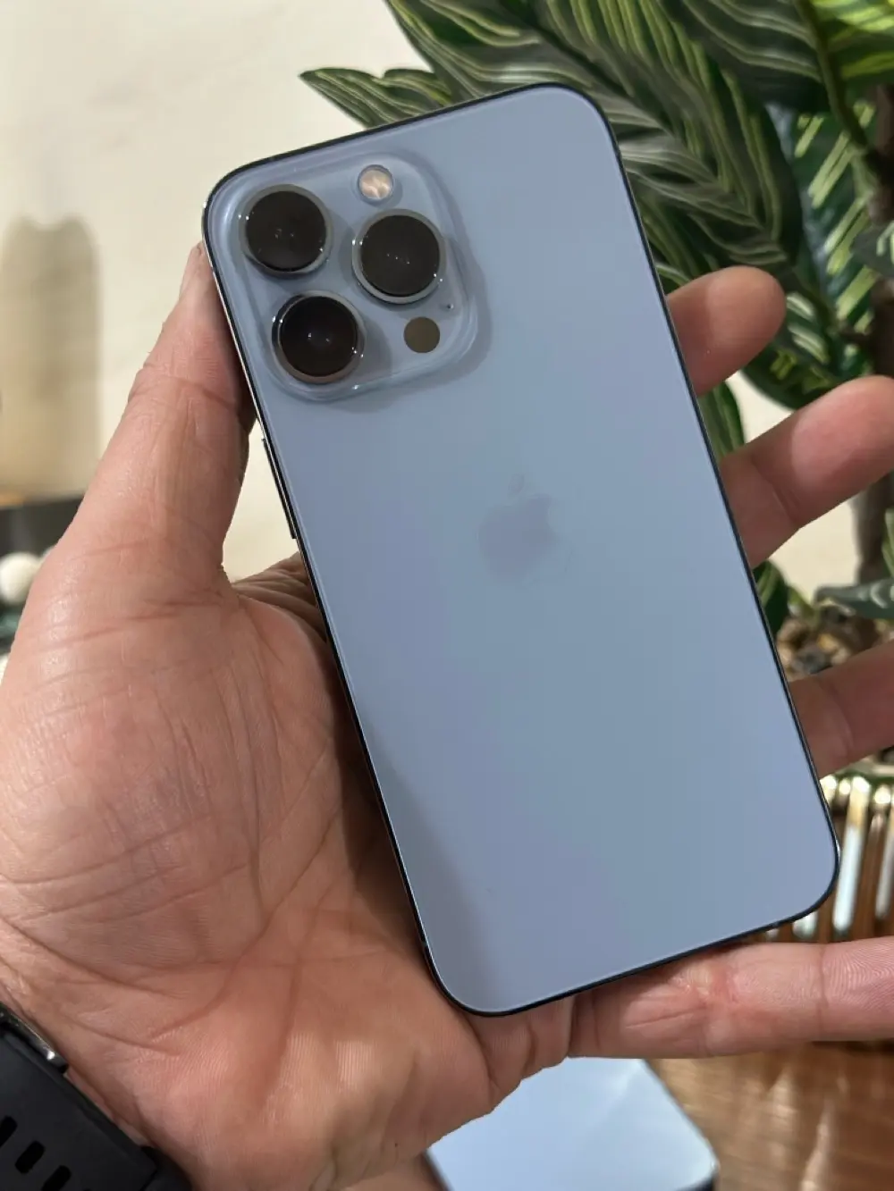 iphone 13 pro ‏