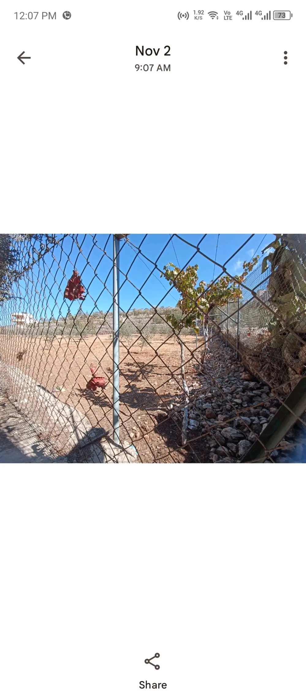 مزرعة للبيع في مادبا