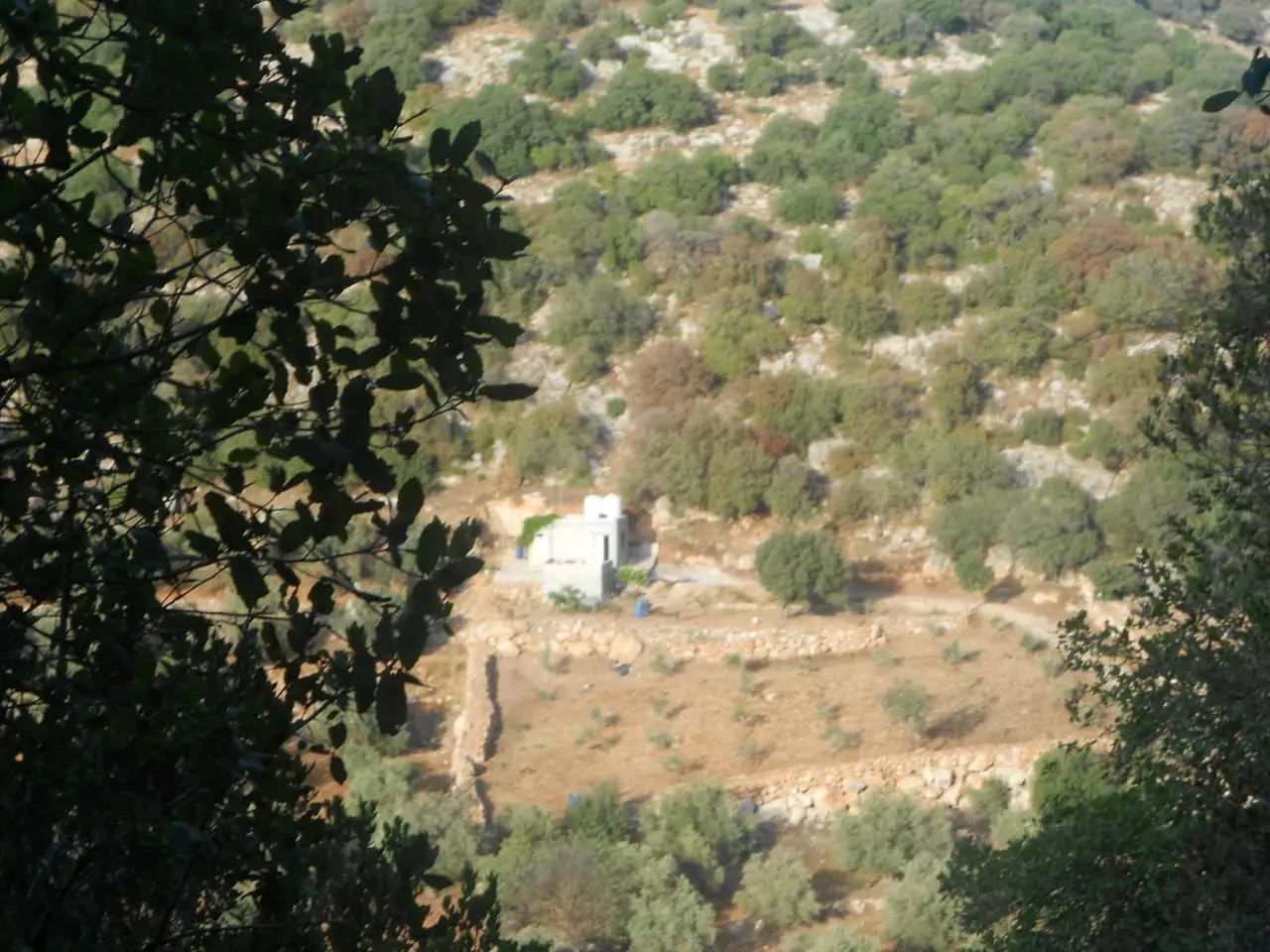 قطعة ارض للبيع منطقة برقش