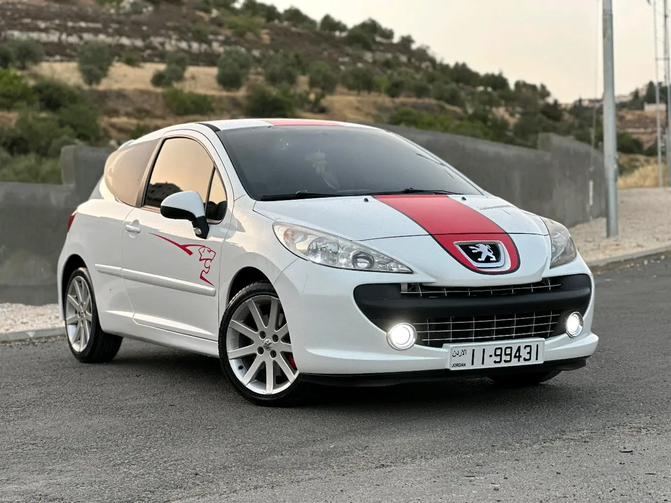 2009 Peugeot 207RC Le Mans series