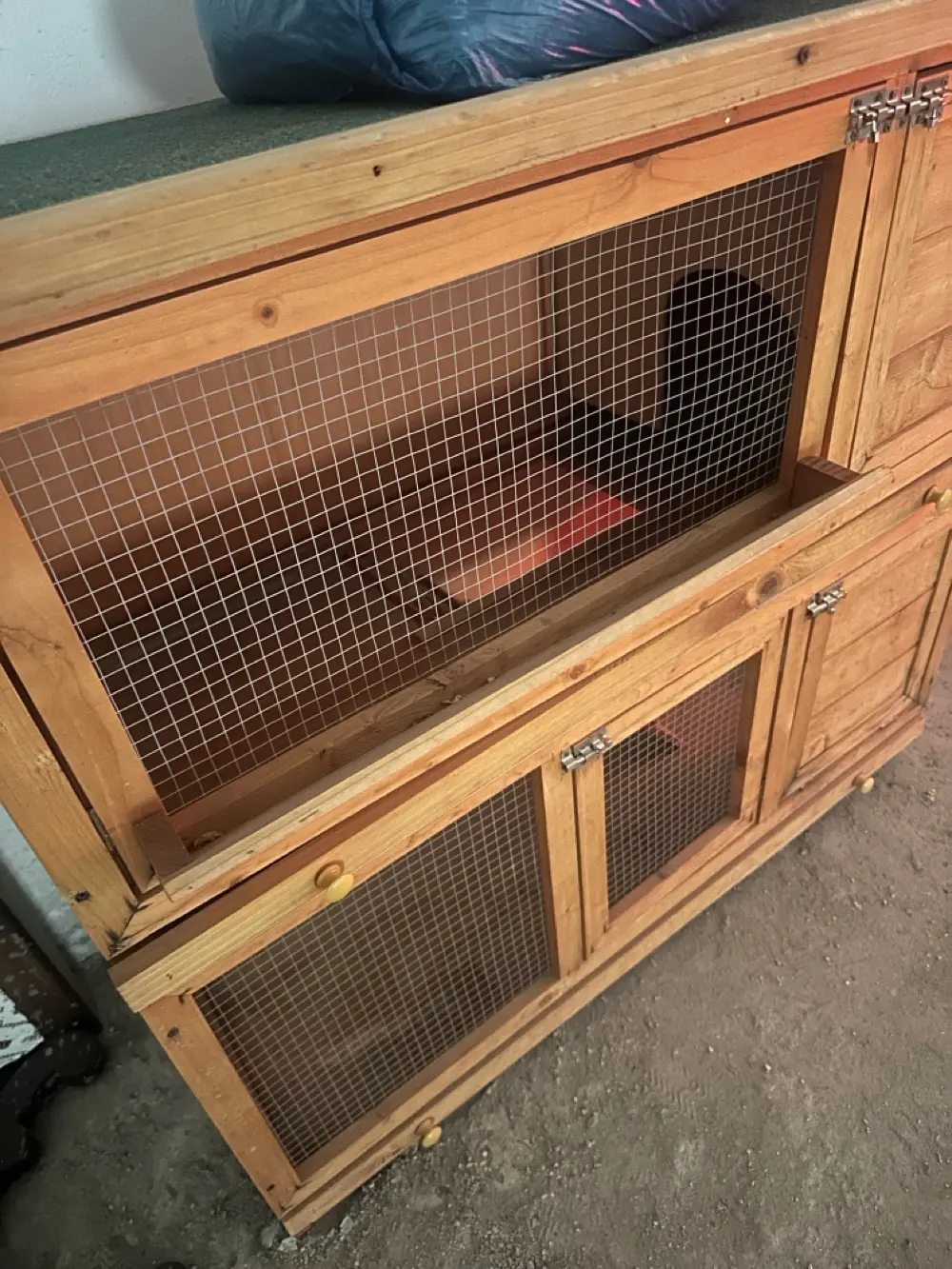 قفص ارانب او هامستر