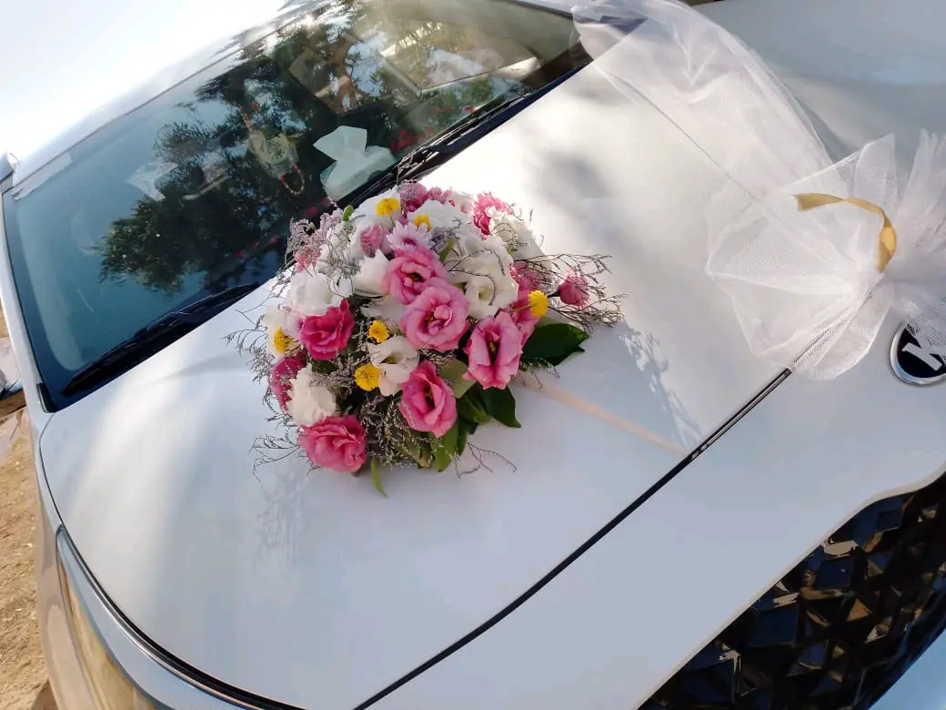 سيارات للبيع