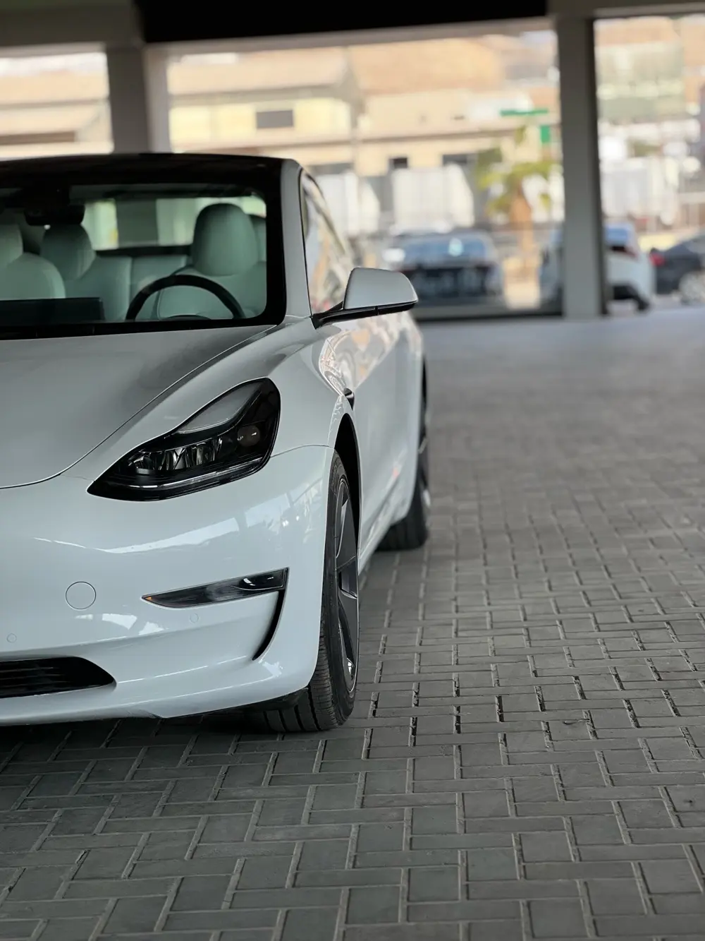 TESLA MODEL 3  2022