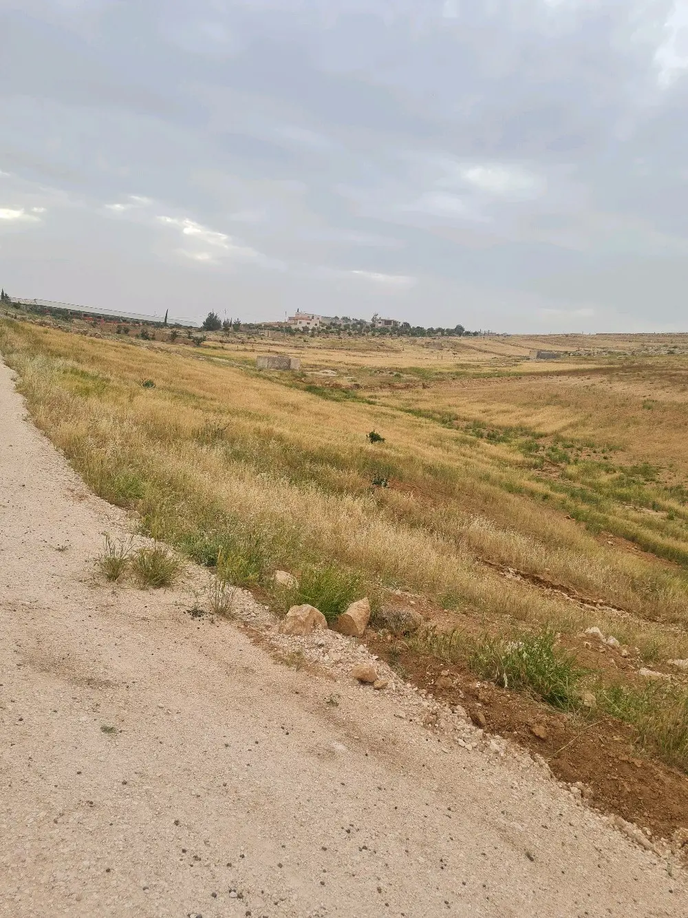 ارض زراعية للبيع