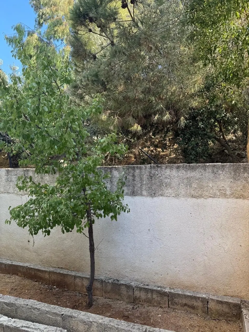 شقه ارضيه حاره ٥ ابو نصير