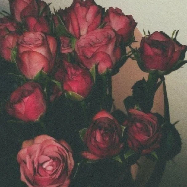 متجر لاحباب سوه 