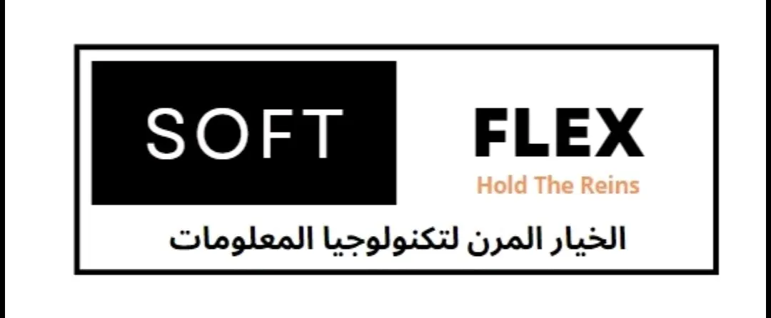 شركة الخيار المرن لتكنولوجيا المعلومات