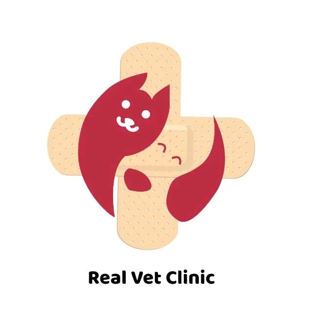 Real Vet clinic