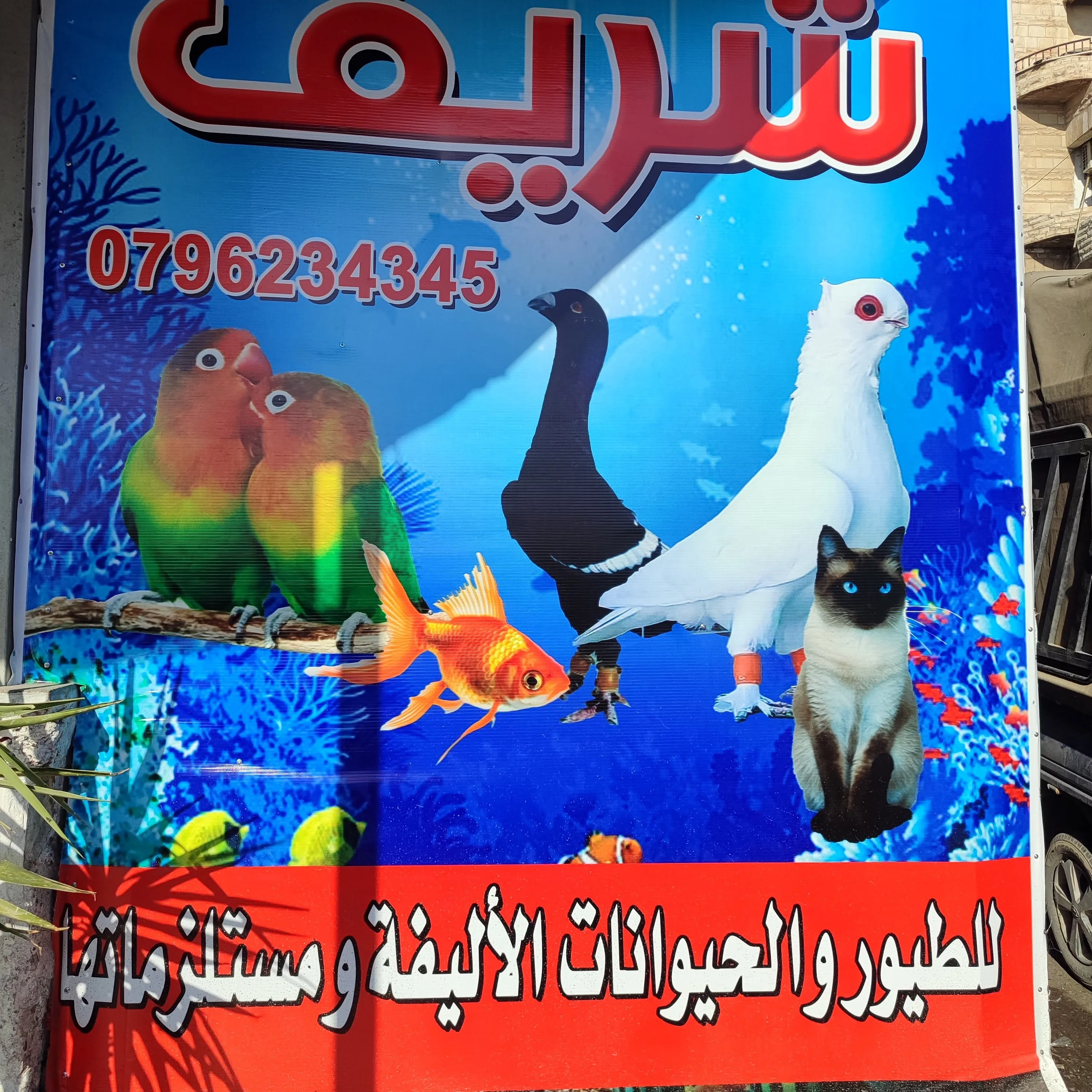 شريف للطيور والحيوانات الاليفه ومستلزماتها