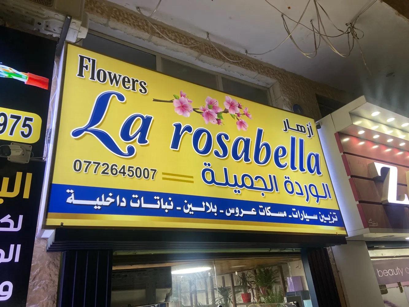 ازهار الورده الجميله