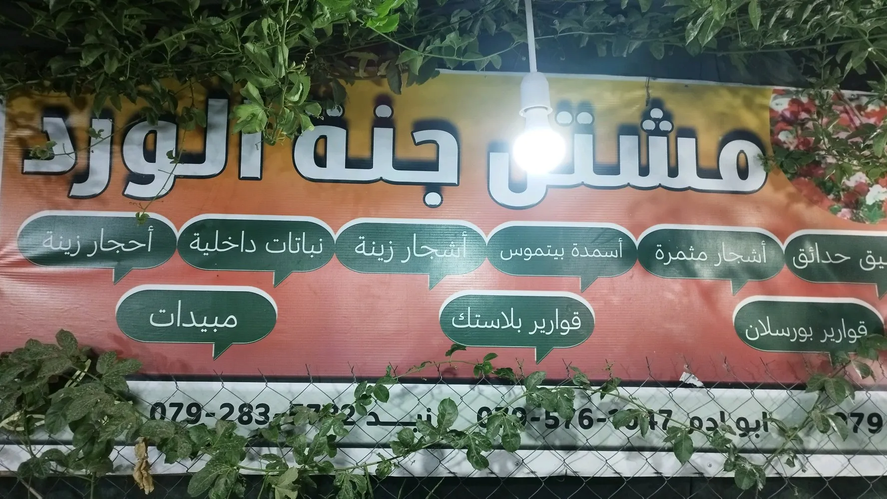 مشتل جنة الورد