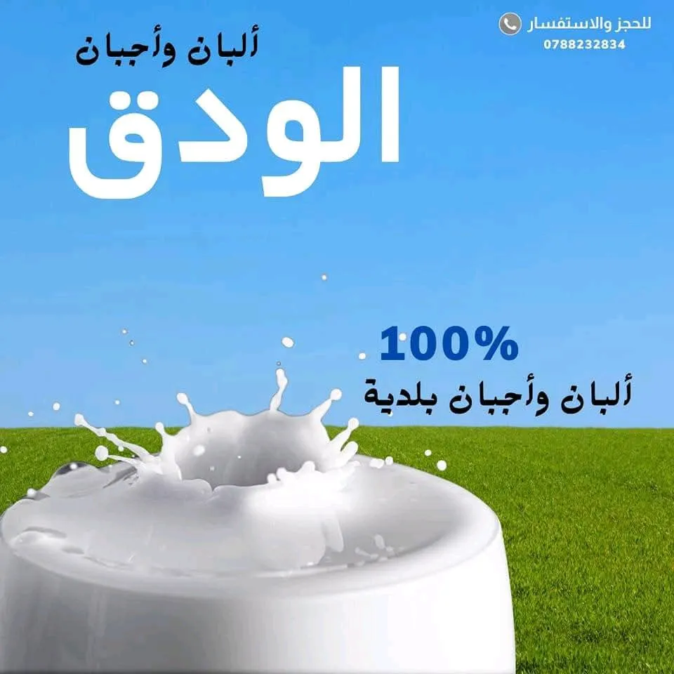 الودق