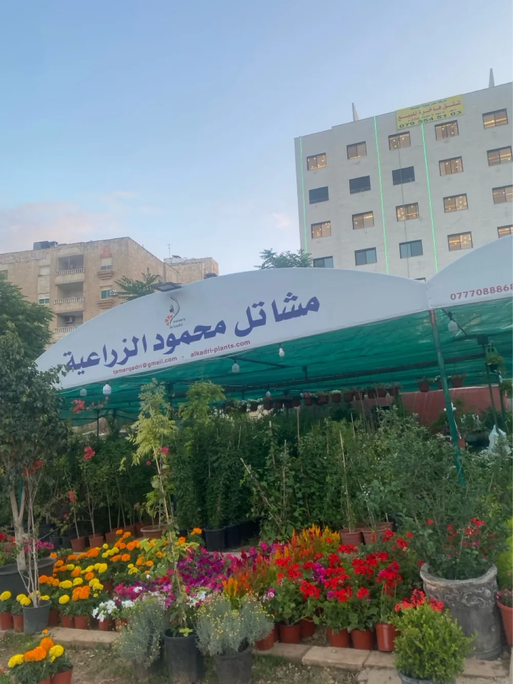 مشتل محمود الزراعي