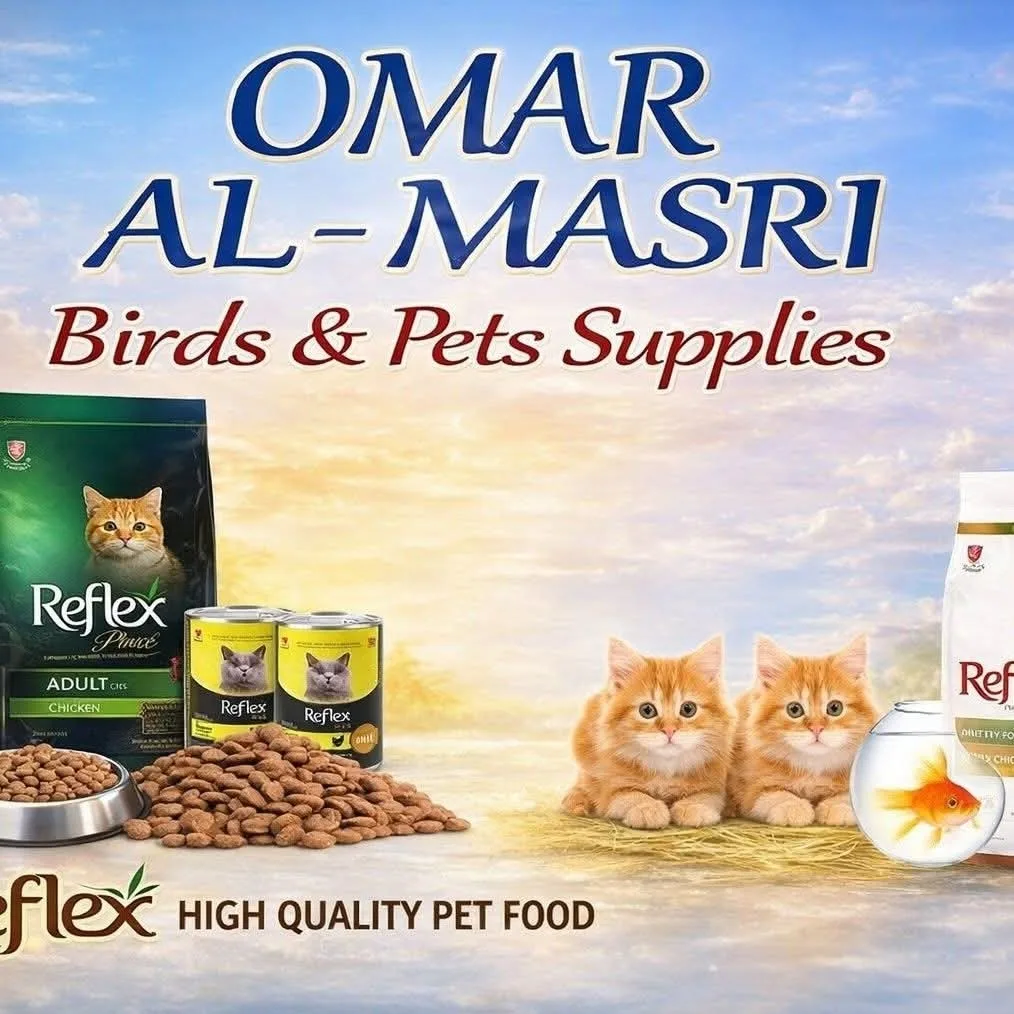 OMAR ALMASRI 
