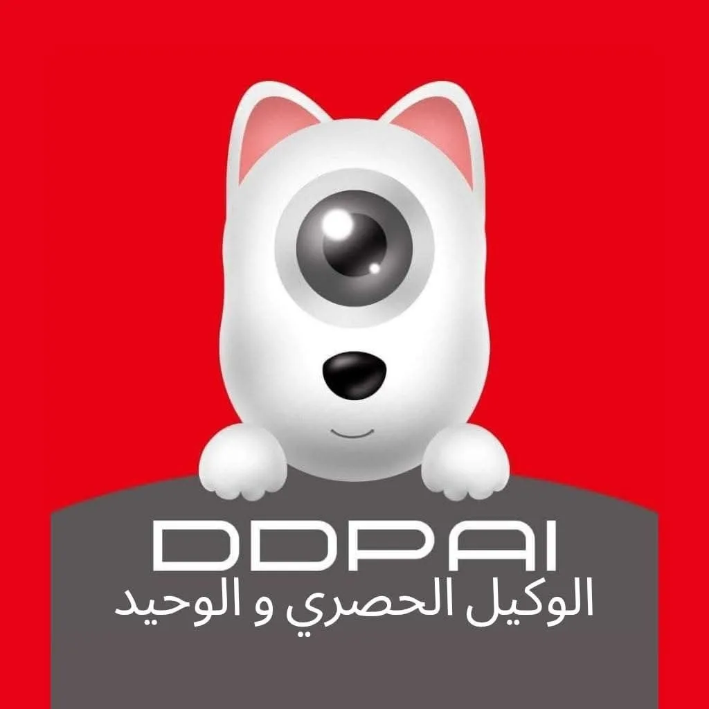 DDPAI Jordan