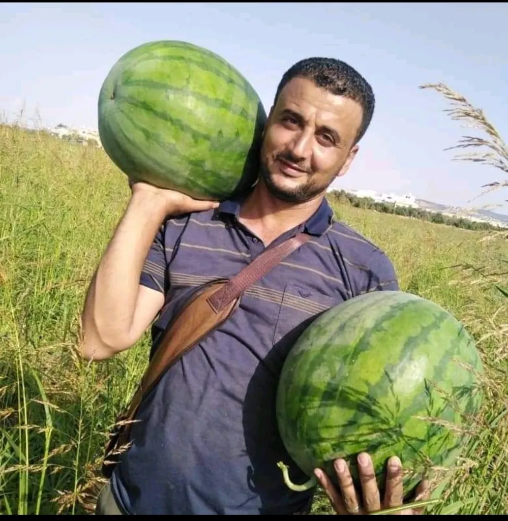 بطيخ مرحبا