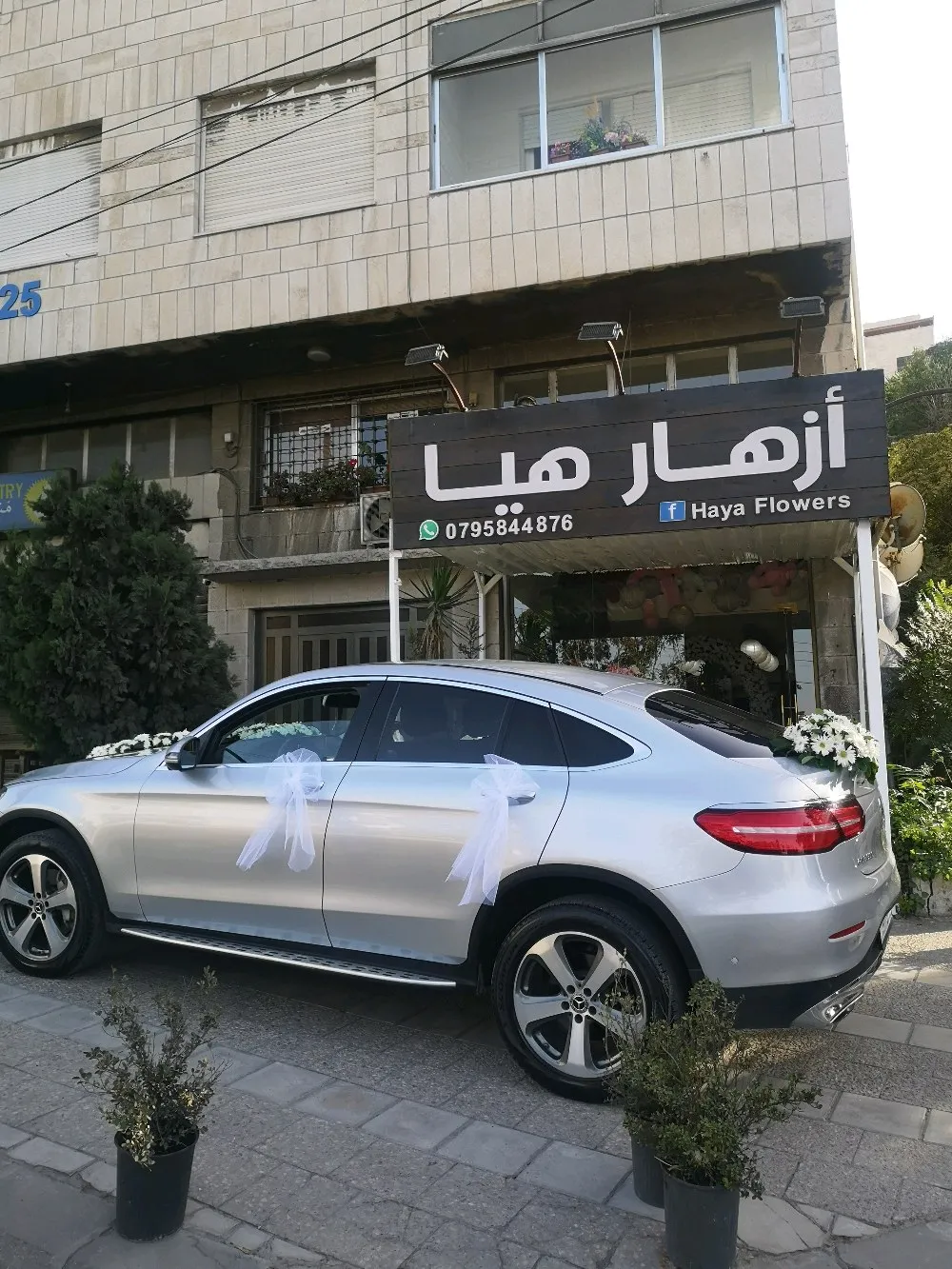haya flowers / ازهار هيا