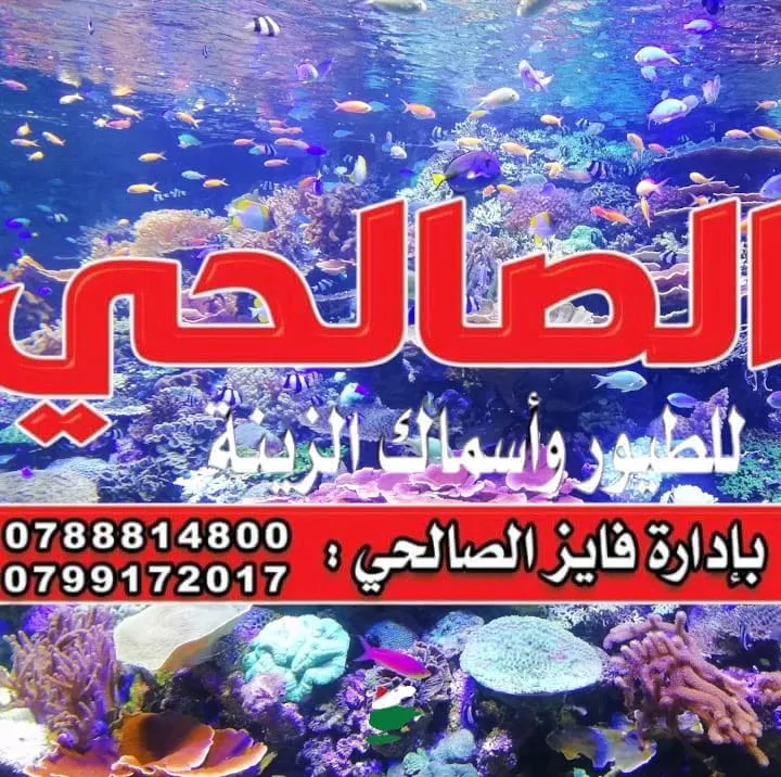 الصالحي للطيور والاسماك