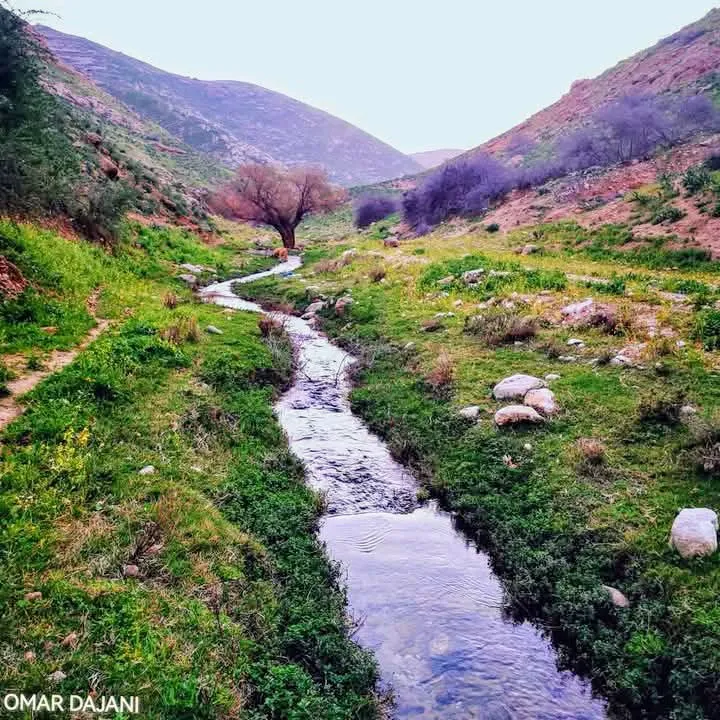 أبو حسون للتجارة العامة