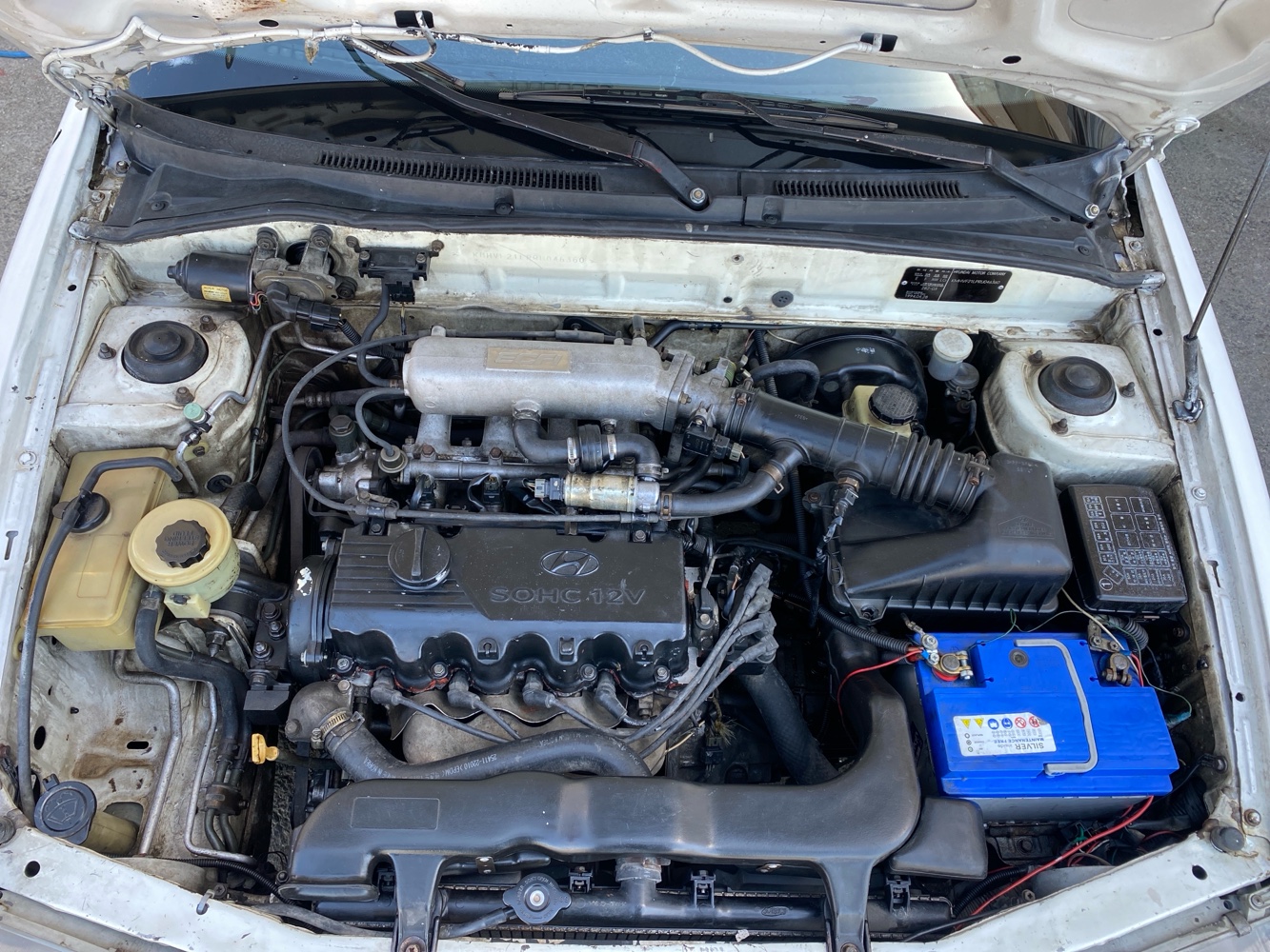 اكسنت للبيع