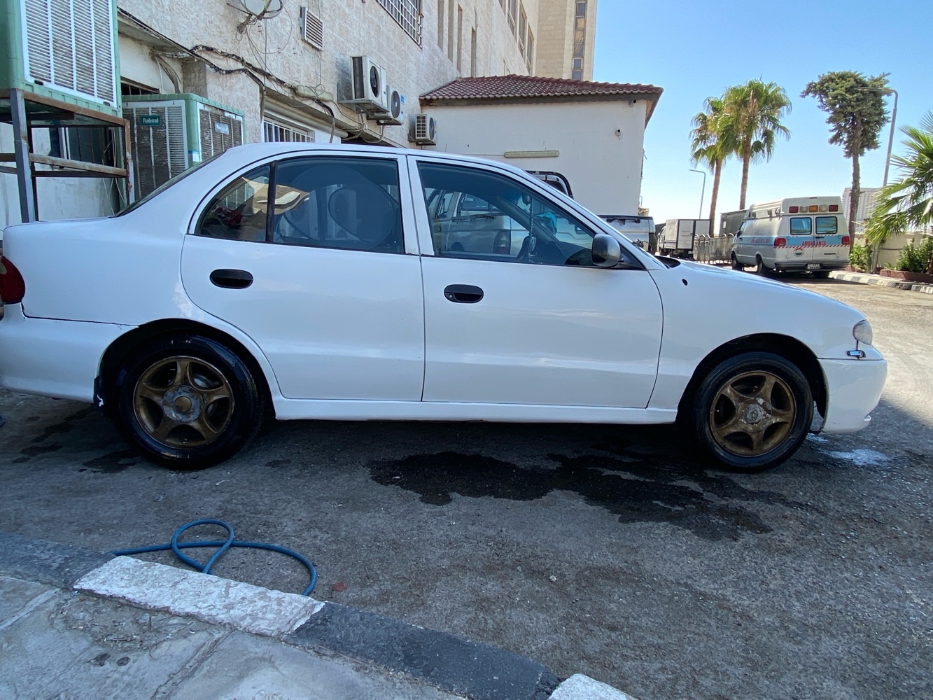 اكسنت للبيع