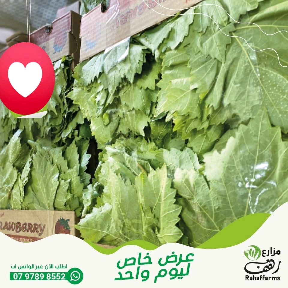 مزارع رهف