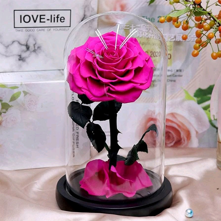 Forever rose Jo