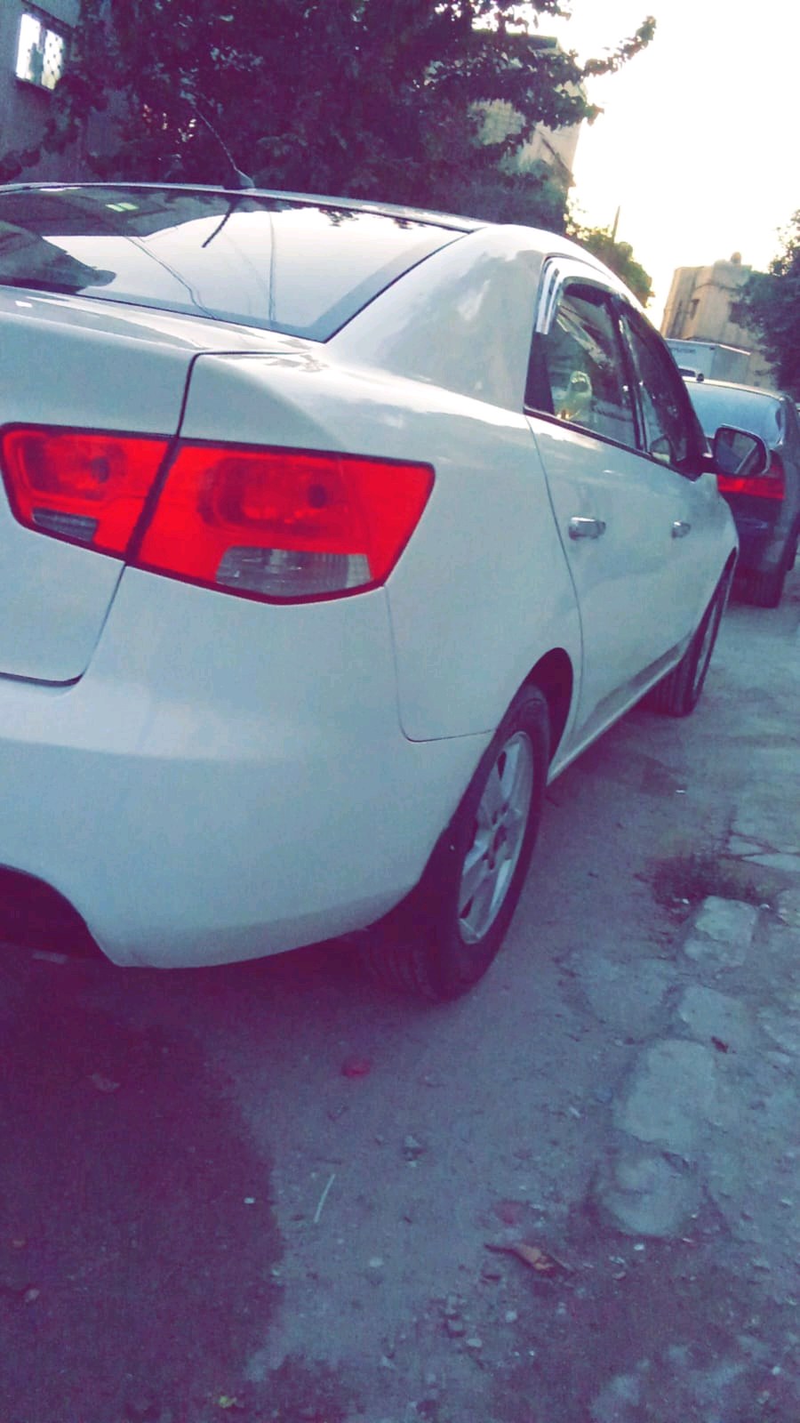 تأجير سيارات