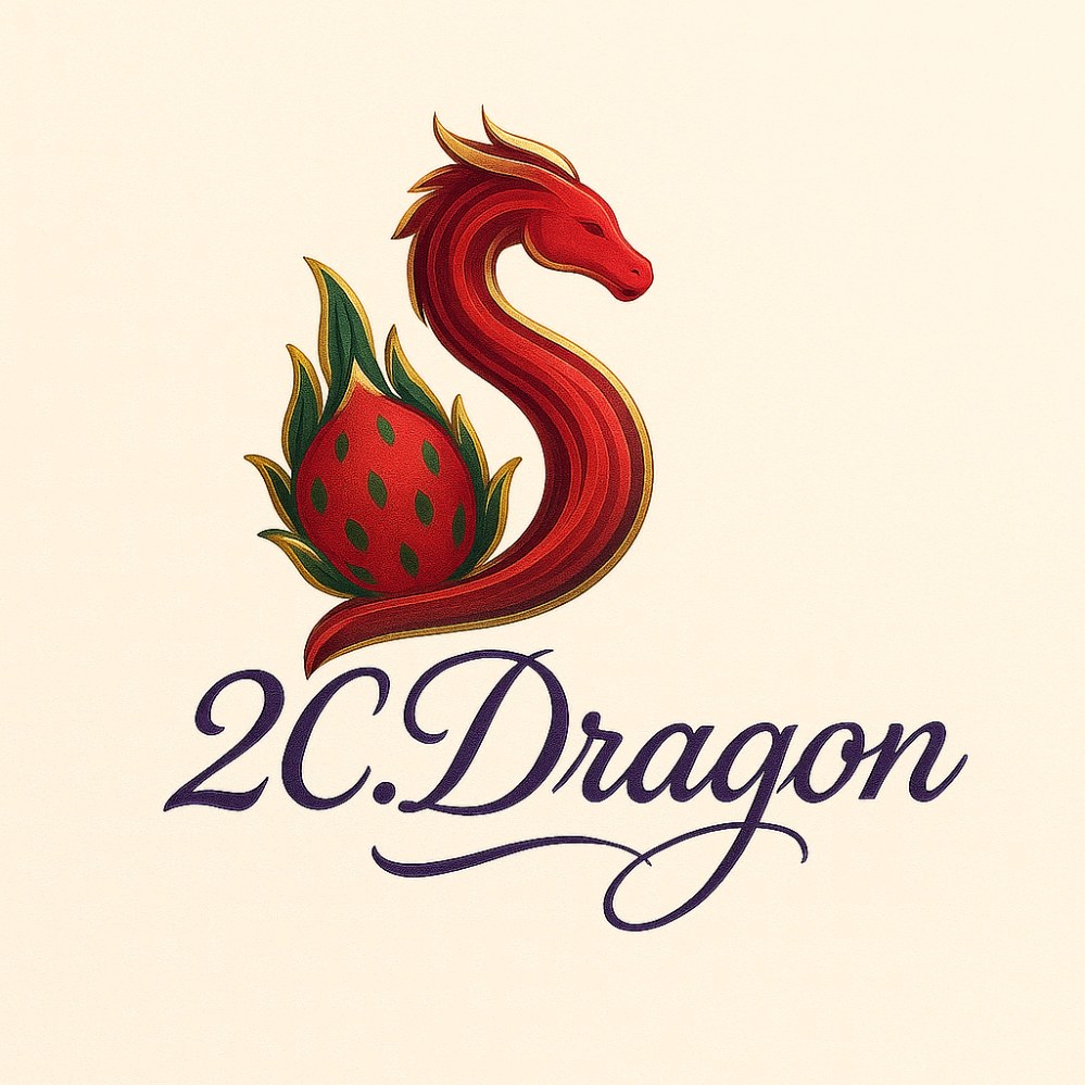 2C Dragon