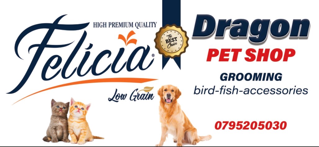 dargon Pet shop