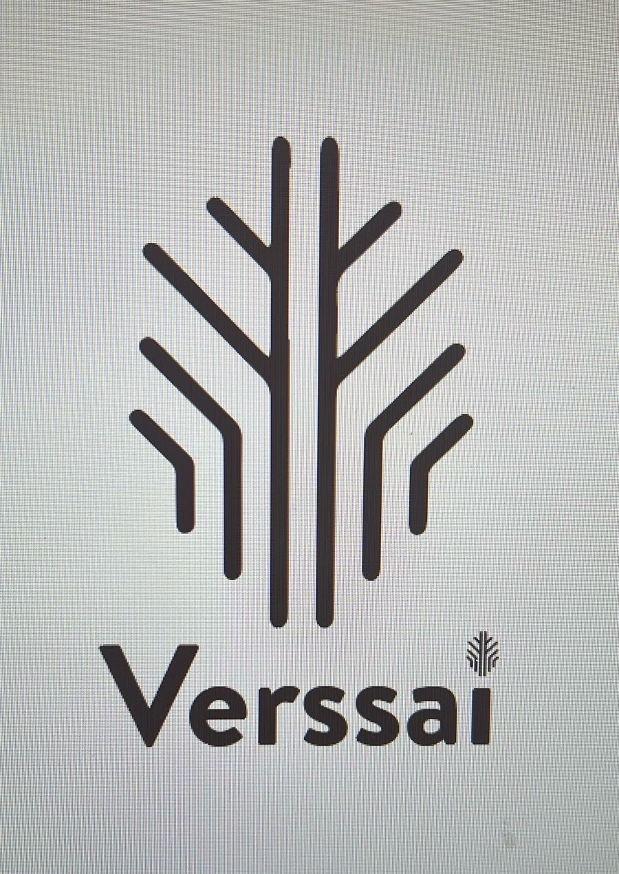 verssai art