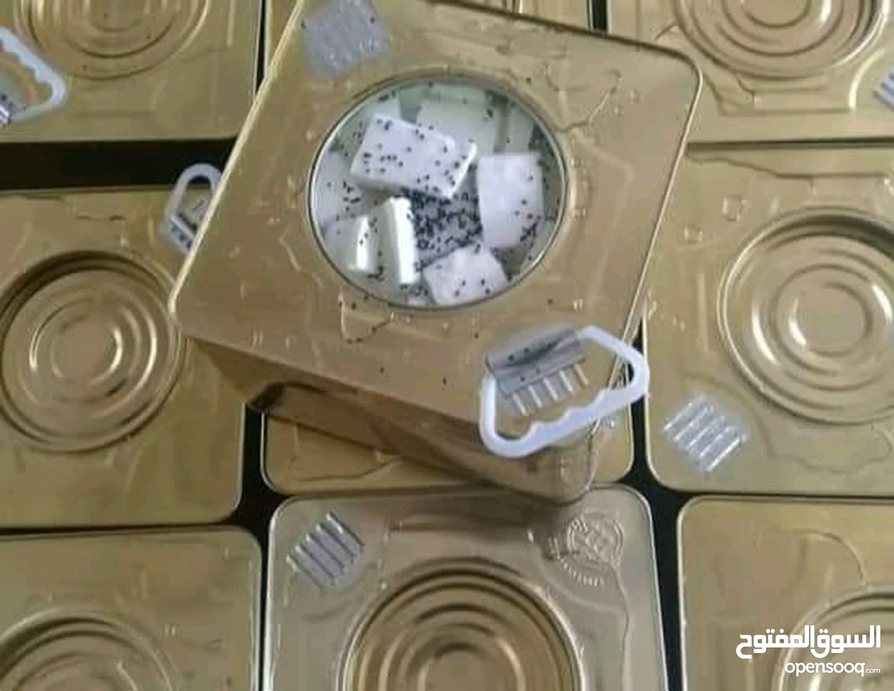 اجبان والبان