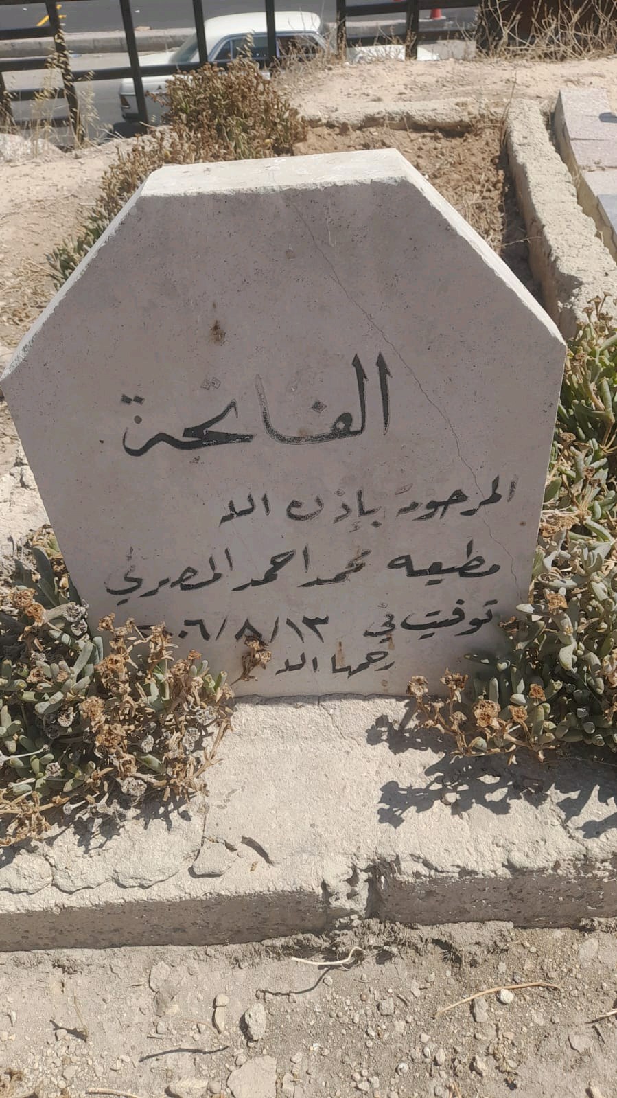 محمد المصري