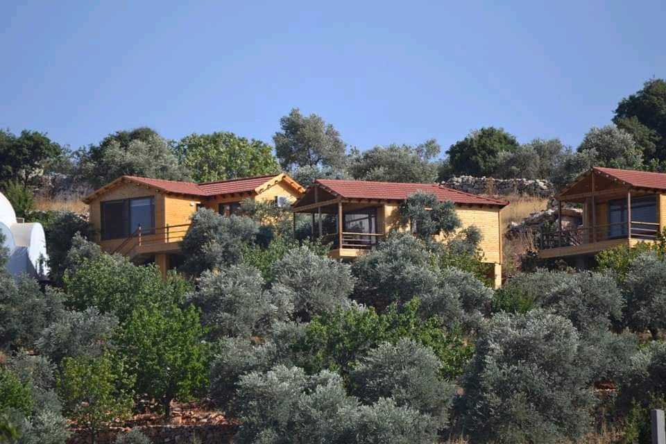 كواخ عجلون الريفية