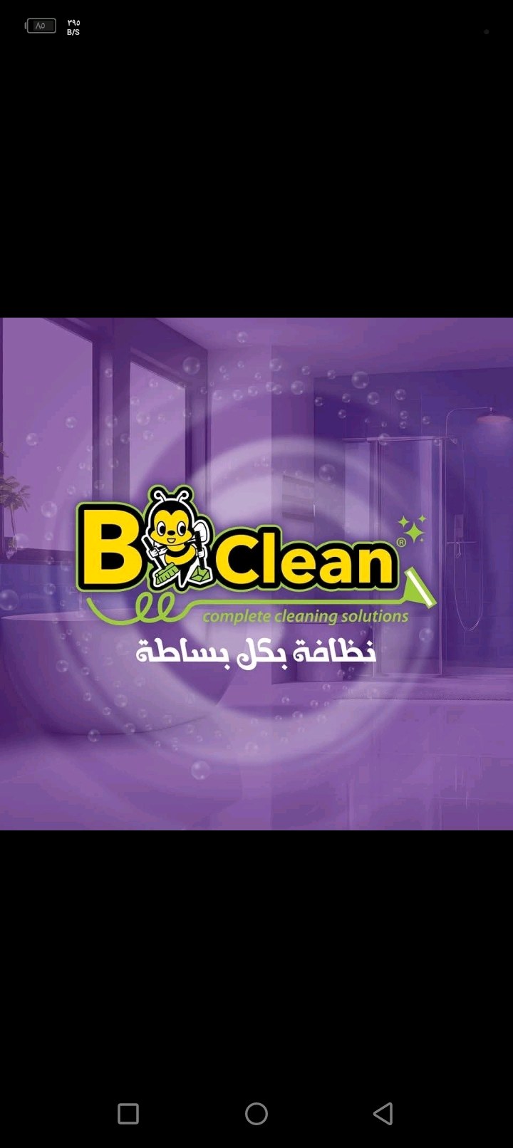 Bee clean