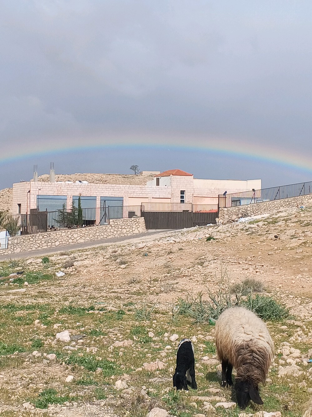 اجبان التعمري