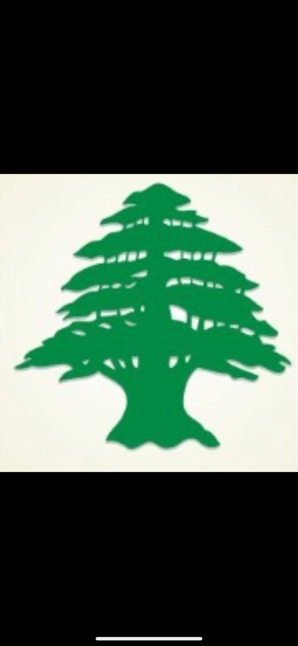 معرض الارز